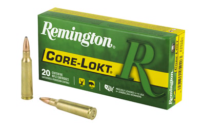 REM 250SAV 100GR PSP 20/200