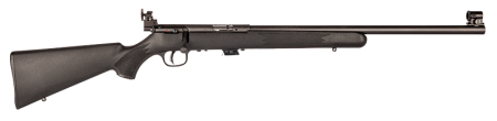 SAVAGE ARMS MARK II BOLT 22LR BL/SYN TARG