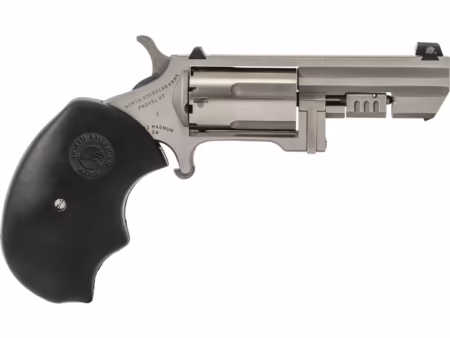 NORTH AMERICAN ARMS .22M, 2" BARREL, SWING-OUT, RECLUSE