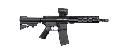 DPMS SHORTACLE 300BLK PISTOL 10.5" BBL, 9.5" MLOK RAIL, CAR15 BRACE 1-30RD MAG W/ VORTX SPARC